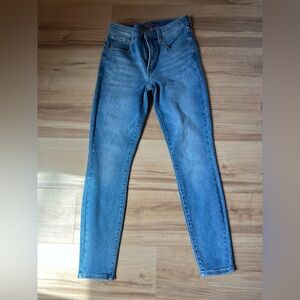 Lucky Brand Brigette Skinny Jeans